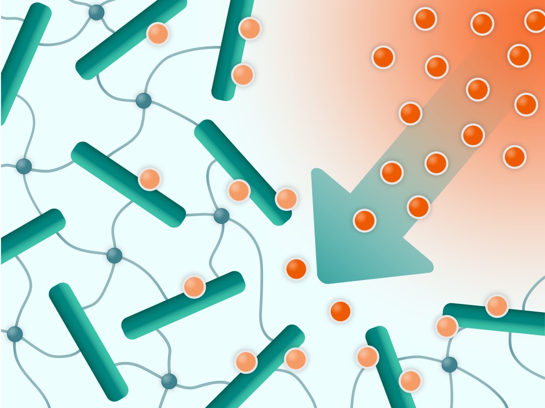 Inflammatory mediators being bound and neutralized by an inflammation resolving polymer materials.